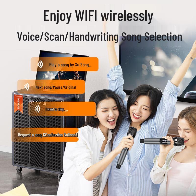 Sanshui Outdoor KTV Smart Speaker System with 3-Year Membership