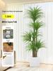 Dragon Blood Tree - Large Indoor Faux Plant for Living Room Decor
