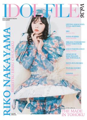 IDOL FILE Том 36