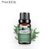 PHATOIL 10/20/30 мл эфирные масла каепута для спа-массажа тела, масло для красоты, ухода за кожей, чистый растительный экстракт, эфирные масла