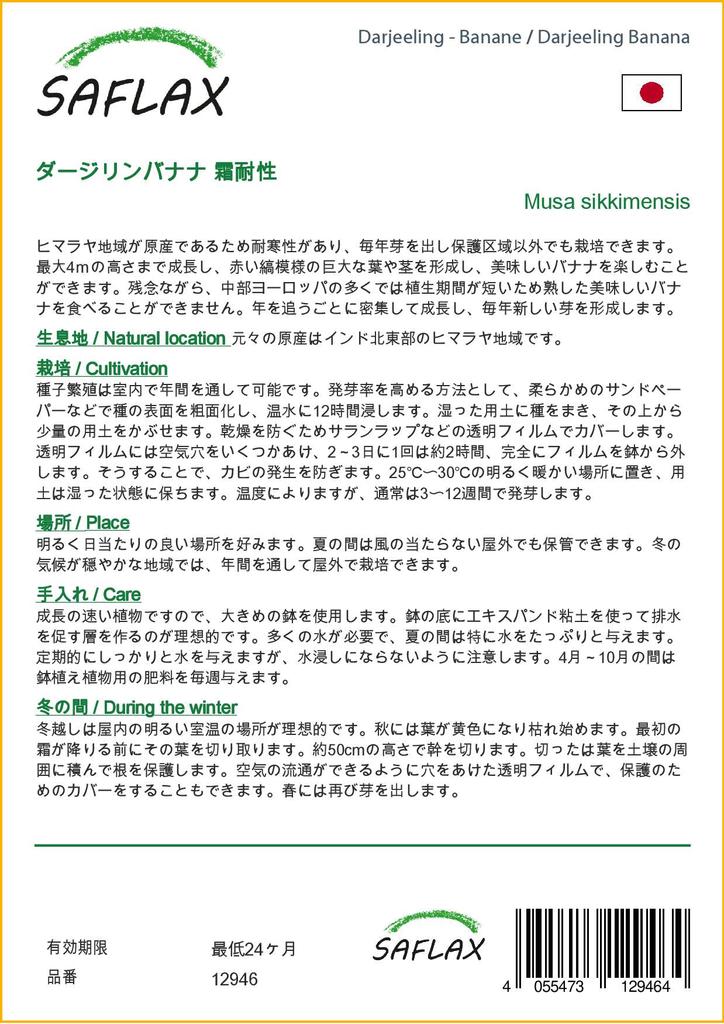 SAFLAX Банан Дарджилинг - 5 семян - Musa sikkimensis