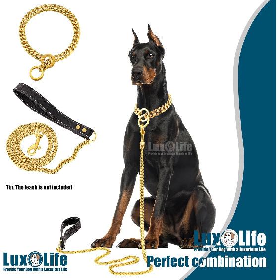 12mm Gold Cuban Link Dog Collar - Stainless Steel Chain Collar with O-Ring Lock for Small, Medium & Large Dogs - Adjustable Heavy Duty Pet Walking