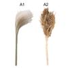 50 Pcs Dried Pampas Grass, Artificial Plant Reed Rabbittail Bouquet Home Decoration Boho Wedding Decoration