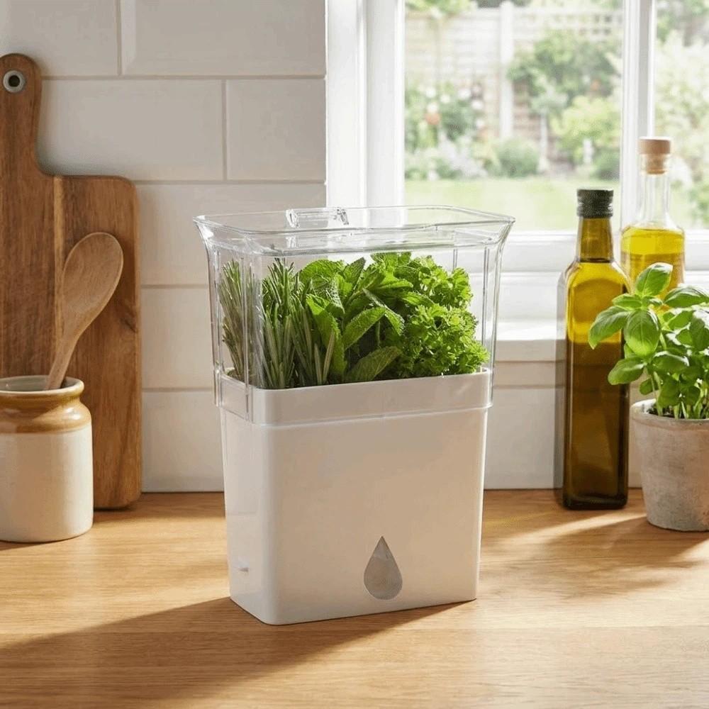 Plastic Fresh Herb Keeper Airtight Vanilla Bean Storage Box Vegetable Keeper Prolongs Produce Life