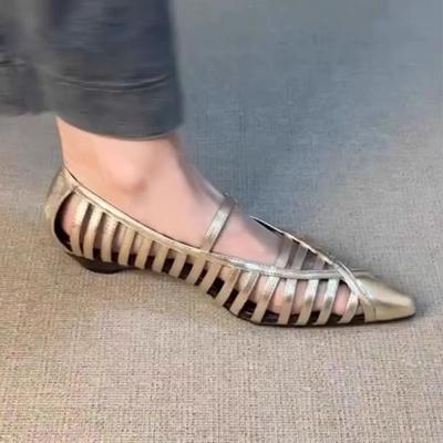 Балетки Женские Дизайнерские Туфли Остроносые Платье Сандалии Осень Женские Лоферы 2025 Новый Тренд Повседневные Zapatillas De Mujer