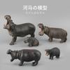 Wild Mammal Model Toy Simulation Hippo Solid Static Ornament Doll Boutique Children'S Gift