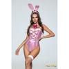 2024 New Arrival Women's Sexy Cosplay Bunny Girl Costumes Lady Sylish Roleplay Rabbit Lingerie Bodysuit Night Club Party Outfit