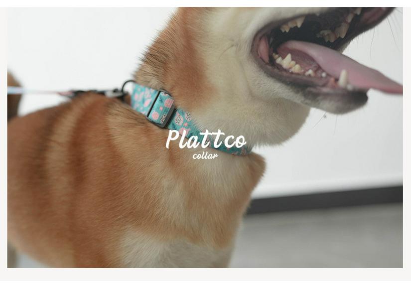 Поводок для собак Plattco Pitaya PDL323 - Новый дизайн с принтом