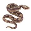 Halloween Realistic Rubber Snake Toy Creepy Snake Toy for Halloween Party Decoration