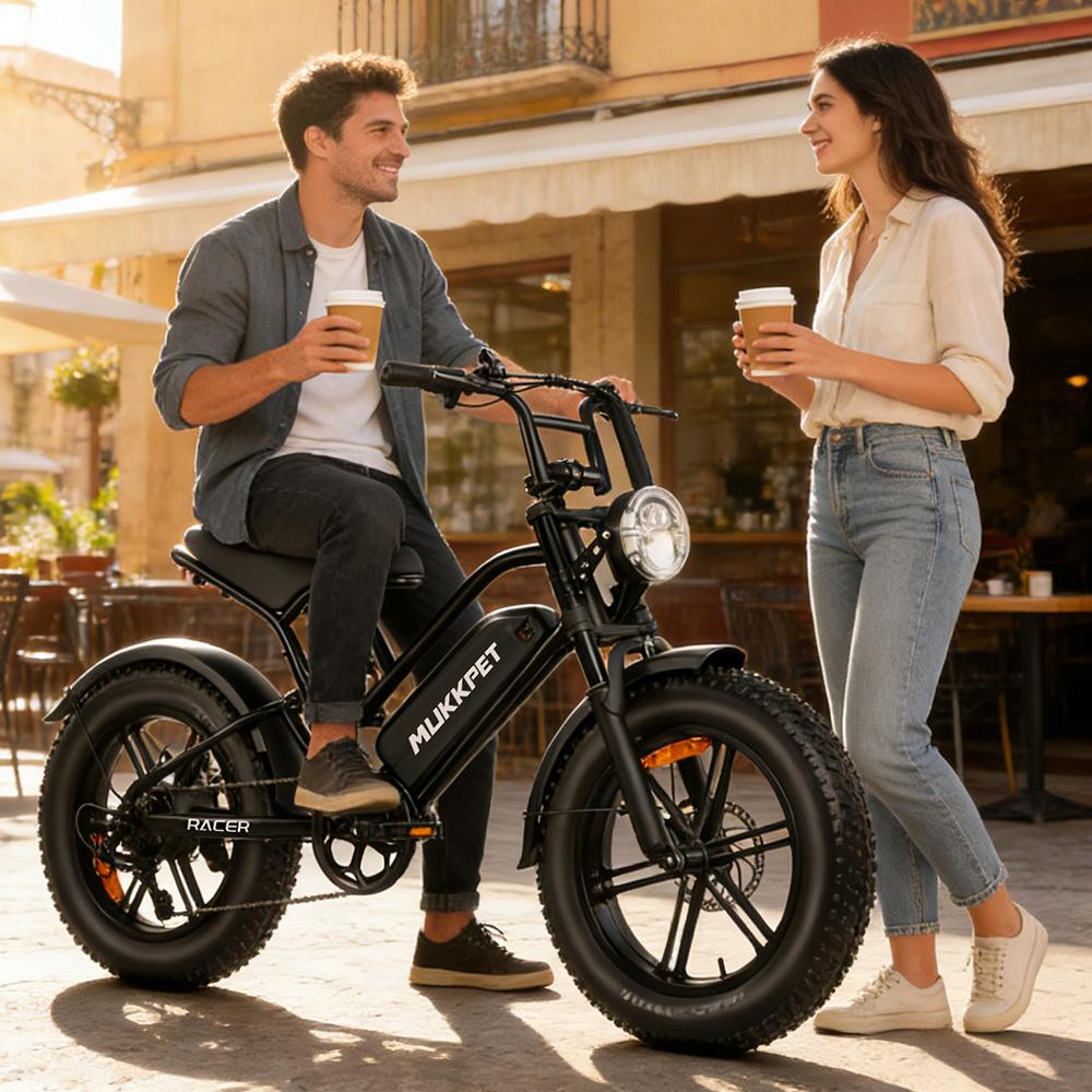 Electric Mountain Bike 250W Motor 20" Fat Tire Fully Suspended Adult Electric Bicycle 48V 18Ah Dual Disc Brakes 7 Speed Top Speed 25Km/h