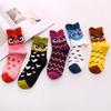 1pairs Cartoon Eule Nette Girs Socke Kwaii Lustige Mode Anime Frühling Herbst Schweiß Absorption Klassische Baumwolle Socke Lolita Wonmens