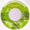 7inch Record JAH MASON - Team Up LS0044 Loyal Soldiers  Jamaica Reggae, Ska & Dub Used