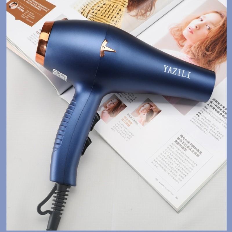 Professional Salon Hair Dryer With Powerful Brushless Motor Blue Light And Heat/cold Settings