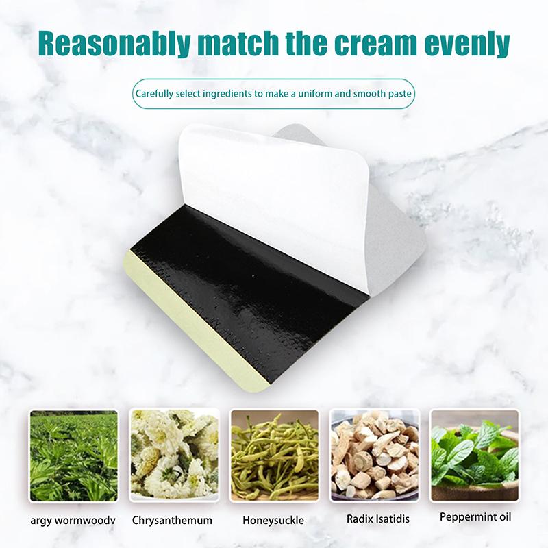 10Pcs/Boxstop Smoking Transdermal Patches Quit Patches, Easy And Effective Stop Smoking Aid 10 Patches