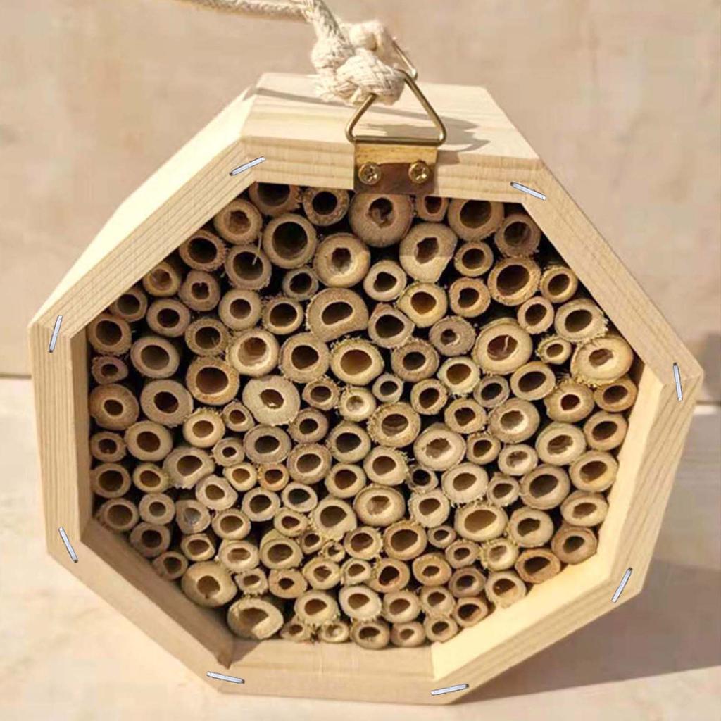 Bee Hotel for Garden and Yard Bamboo Bee Hive for Bees Butterflies Mason Bee Houses and Supplies for Outdoor Garden