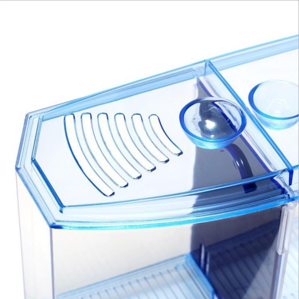 Пластиковый изолятор для петушков Прозрачный нерестовик для рыб Аквариум для петушков Офисный аквариум
