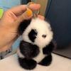 1/2Pcs Plush Panda Keychain Pendant Wallet Key Ring Car Key Holder Lightweight Soft Bag Pendant Panda Key Ring