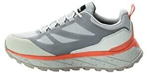 Women's Trekking Shoes Jack Wolfskin Terraventure Texapore Low (4051631) Silver Grey