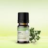 Lemon Myrtle Oil 100% Concentrate 5ml