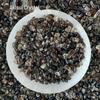 Natural Smoky Quartz Tumbled Stone Ornament for Purification and Demagnetization In Aquariums or Planters