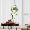Creative Round Hanging Basket & Flower Wreath Pot - Aerial Wood Plant Stand Ornament
