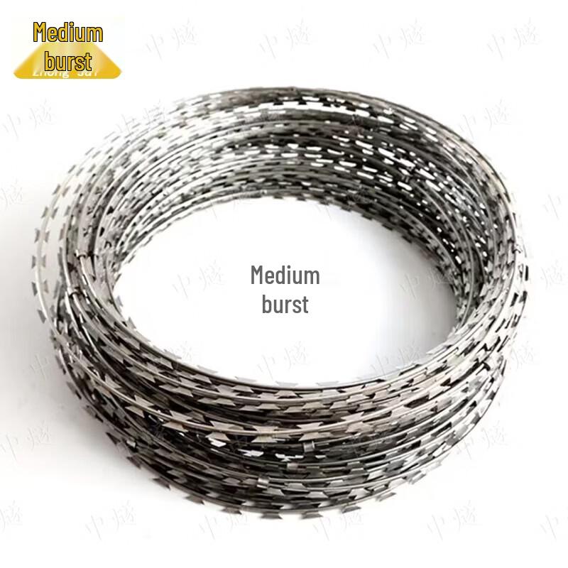 Razor Wire Security Fence