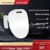 110V Smart Toilet Seat with Drying & Cleaning for Home Use