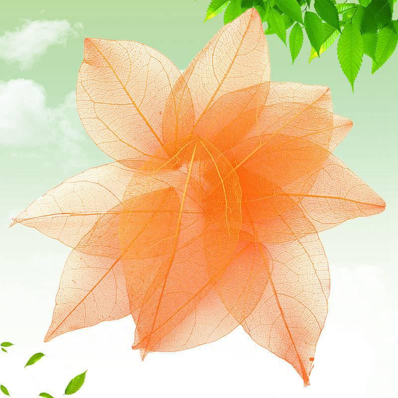 Тиснение 30 шт. Сухоцветы Чехол для телефона DIY Орнамент Аксессуары Ручная работа Материал Натуральный Алмаз Вены Изготовление Тиснение