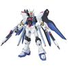 HG Strike Freedom Gundam Suit Gundam SEED 1/144 ZGMF-X20A (Mobile DESTINY)
