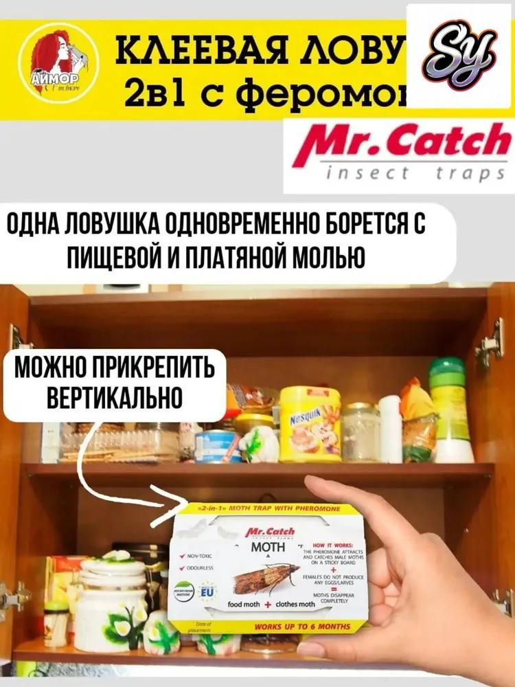 Glue trap Mr.Catch, used from food and cloth moths in the wardrobe, a set of 4 pieces, is considered a quality solution