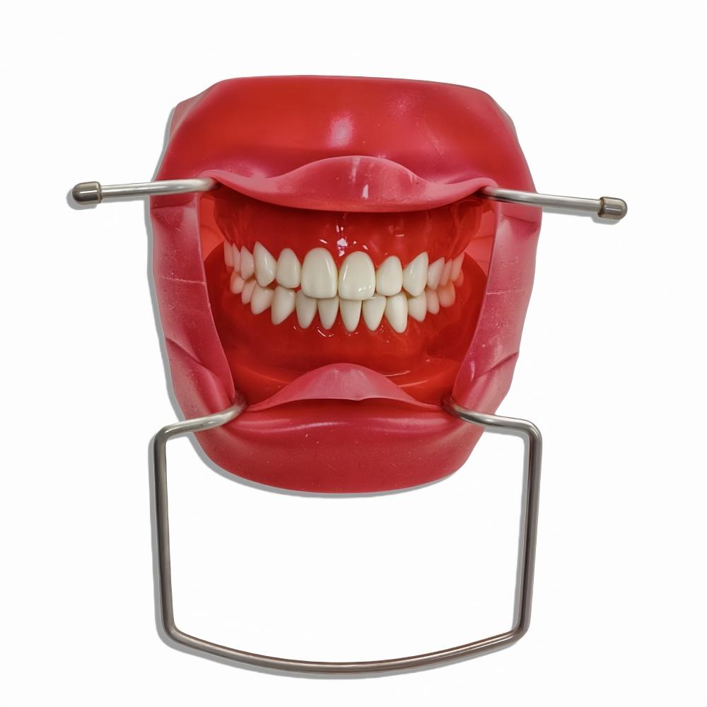 1 шт., дентальный имплантат, хирургический ретрактор для рта, самоудерживающийся расширитель рта, хирургический ретрактор для всего рта