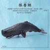Игрушки-модели животных Кашалот