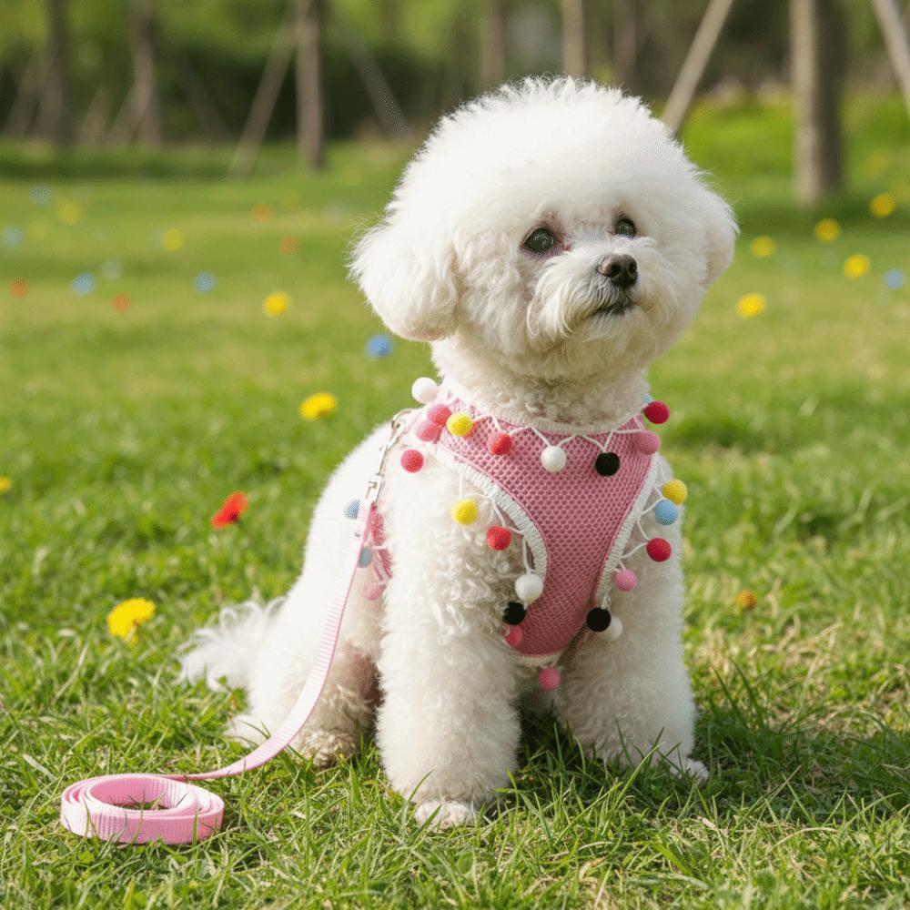 Breathable Mesh Dog Harness Vest Colorful Ball Dog Chest Strap Pet Harness Leash  Daily Use