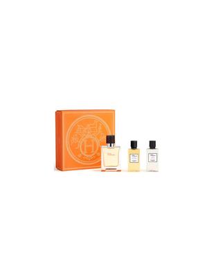 Terre D'hermes e T 50 Спрей-гель40 Ash40