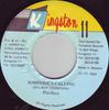 7inch Record PINCHERS - Someone's Calling NONE Kingston 11 1994 Jamaica Reggae, Ska & Dub Used