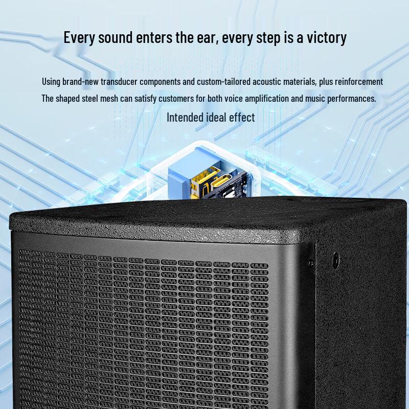 Shangshitong SST-FT12 Professional Stage Monitor Speaker (CN version)