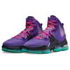 Nike Мужские кроссовки LeBron 19 EP Purple Teal Pink Black DC9340-500