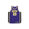 NBA Authentic Lakers LeBron James #23 Spliced Logo Sleeveless Basketball Vest Men Vests Purple AJ5197-505