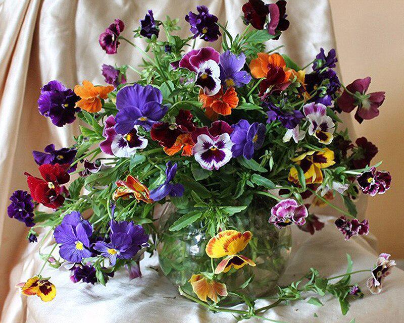 Набор для алмазной живописи кошка собака волк и девушка животное 5D DIY Алмазная вышивка цветок сельский пейзаж вышивка крестиком стразы мозаичное украшение