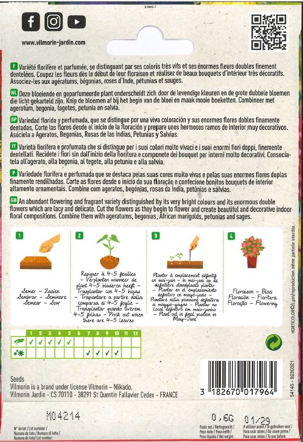 Разнообразные семена двойной гвоздики