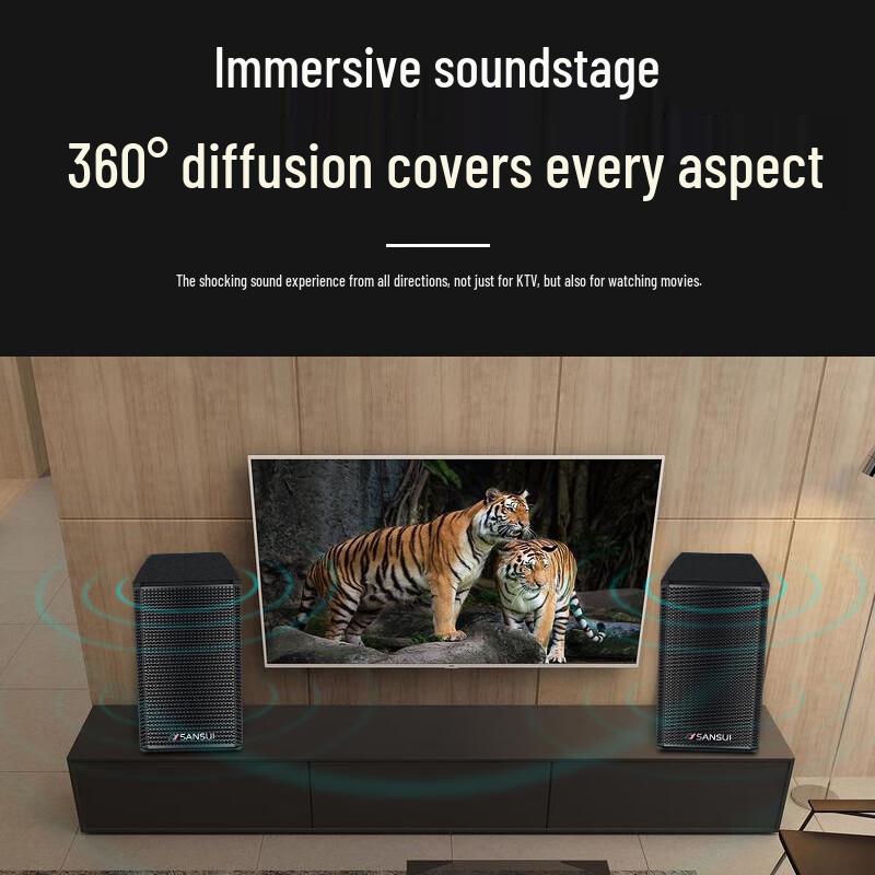 Shanshui KB9 Home KTV Karaoke System