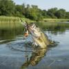 Double Propellers Frog Lure Rotating Tail Soft Frog Lure Artificial Bait  Freshwater Fishing
