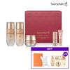 Bichaek Ginseng 3-piece Smart Set + Face Gua Sha + Fermented Hyoyun Essence Skin Cream Shasha 1m