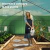 8X3x2m PE and Steel Tunnel Greenhouse with Roll-Up Door and Windows. Green