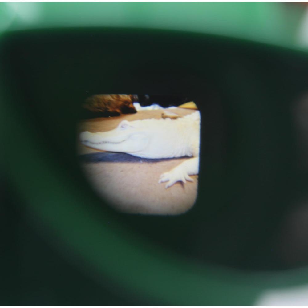 Новая 3D Обсерватория 3D Образовательный Смотровой Аппарат Единорог Мини-Театр Светящиеся Игрушки Детский Подарок Игрушки для Большой Игры