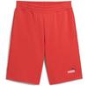 Puma Ess 2 Color No. 1 Logo 10'' Shorts