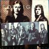 LP Record FOREIGNER - Double Vision SD19999 Atlantic 1978 US Rock Used