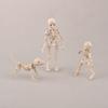 Movable Joint Model Figure Skeleton Figure Halloween Ornaments