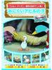 DVD - Едва заметный утенок AAM-304 AAM304 Япония Фильмы и DVD Б/У