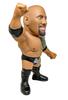 16d Soft Vinyl Collection WWE 021 WWE The Rock Soft Vinyl Painted Movable Figure Second Order [The Rock] Non-Scale